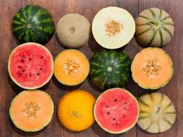 Organic Melons