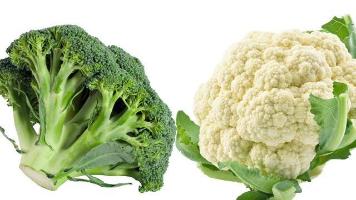 Organic Broccoli, Cauliflower, & Cruciferous Vegetables