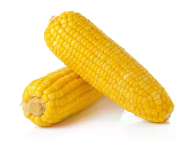 Organic Corn