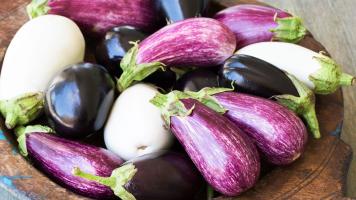 Organic Eggplant & Nightshades