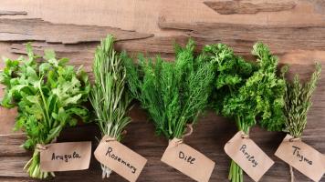 Organic Herbs