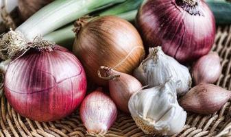 Organic Onions, Shallots, & Garlic