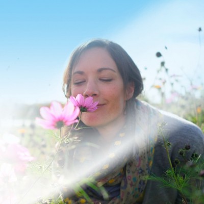 Air Wick Scented Oil Air Freshener Warmer - 2ct