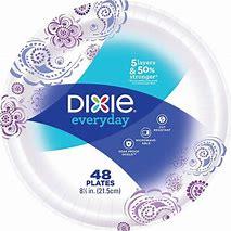 DIXIE 48ct EVERYDAY PLATES 8 1/2IN