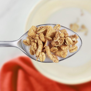 KASHI GO 14oz CINNAMON CRISP CEREAL