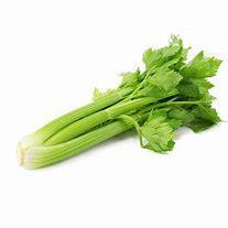 ORGANIC CELERY - 3017