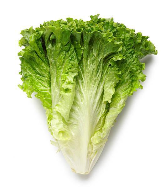 ORGANIC GREEN LEAF - 3039
