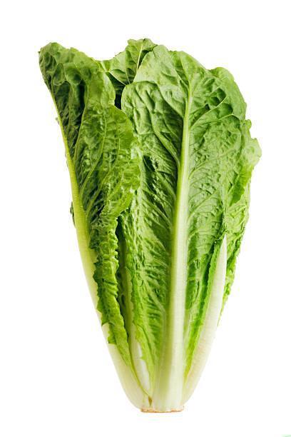 ORGANIC ROMAINE LETTUCE - 3033