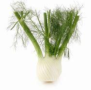 ANISE / FENNEL - 2001