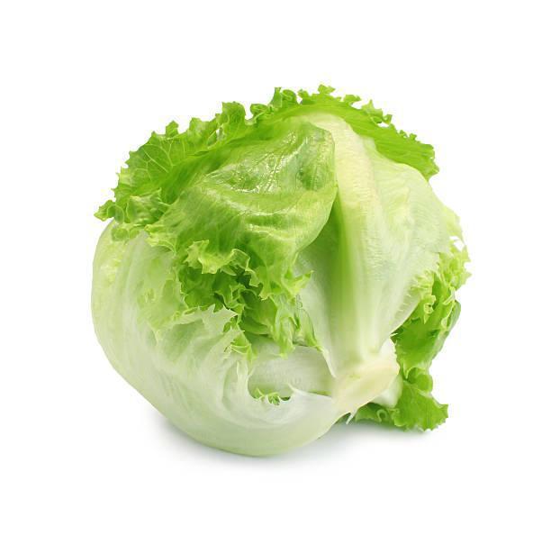 ORGANIC LETTUCE ICEBERG - 3078
