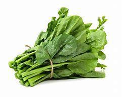 SPINACH BUNCH - 2149
