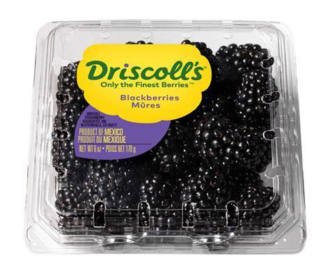 DRISCOLL'S 6oz BLACKBERRIES