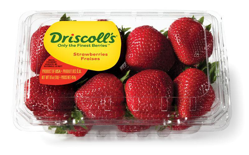 DRISCOLL'S 16oz STRAWBERRIES