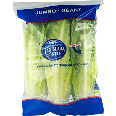 TANIMURA & ANTLE 12oz ORGANIC ROMAINE HEARTS