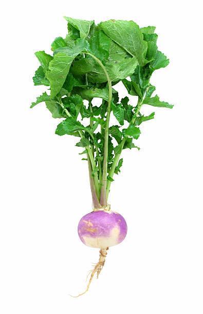 TURNIPS WHITE - 2163, Weight, 0.50 lb