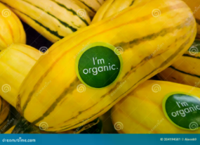 ORGANIC SQUASH DELICATA - 94763, Each, 1.00 lb