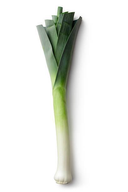 ORGANIC LEEK - 3013