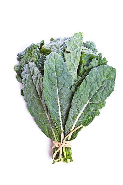 KALE LACINATO - 2225