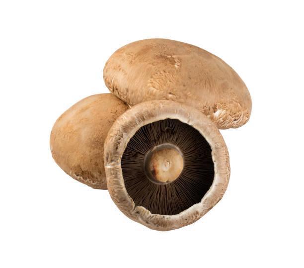 MUSHROOMS PORTABELLO CAP - 2135, Weight, 0.10 lb