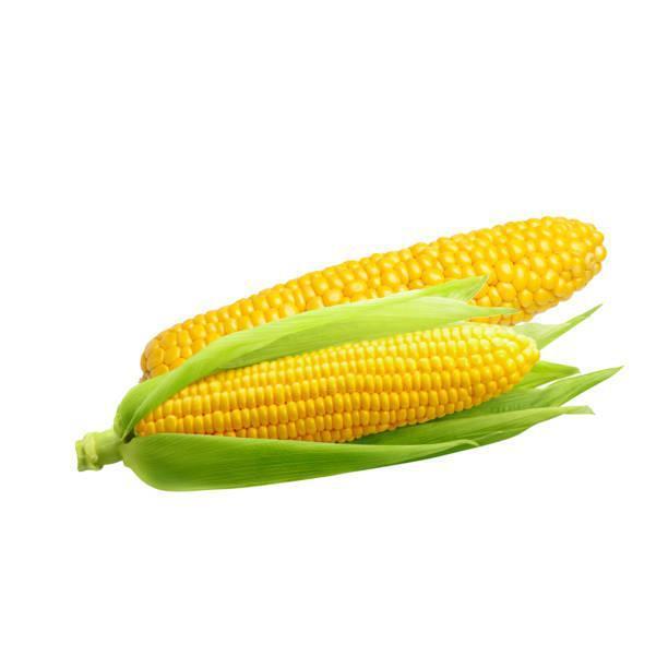 CORN - 2212