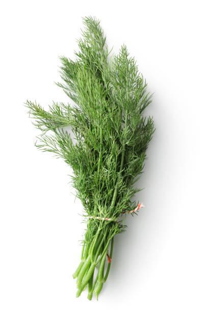 ORGANIC DILL - 3029