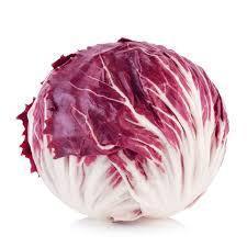 RADICCHIO - 2244