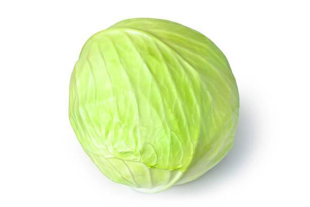 ORGANIC GREEN CABBAGE - 3113, Each, 3.00 ea