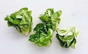 ORGANIC LITTLE GEM LETTUCE- 3002